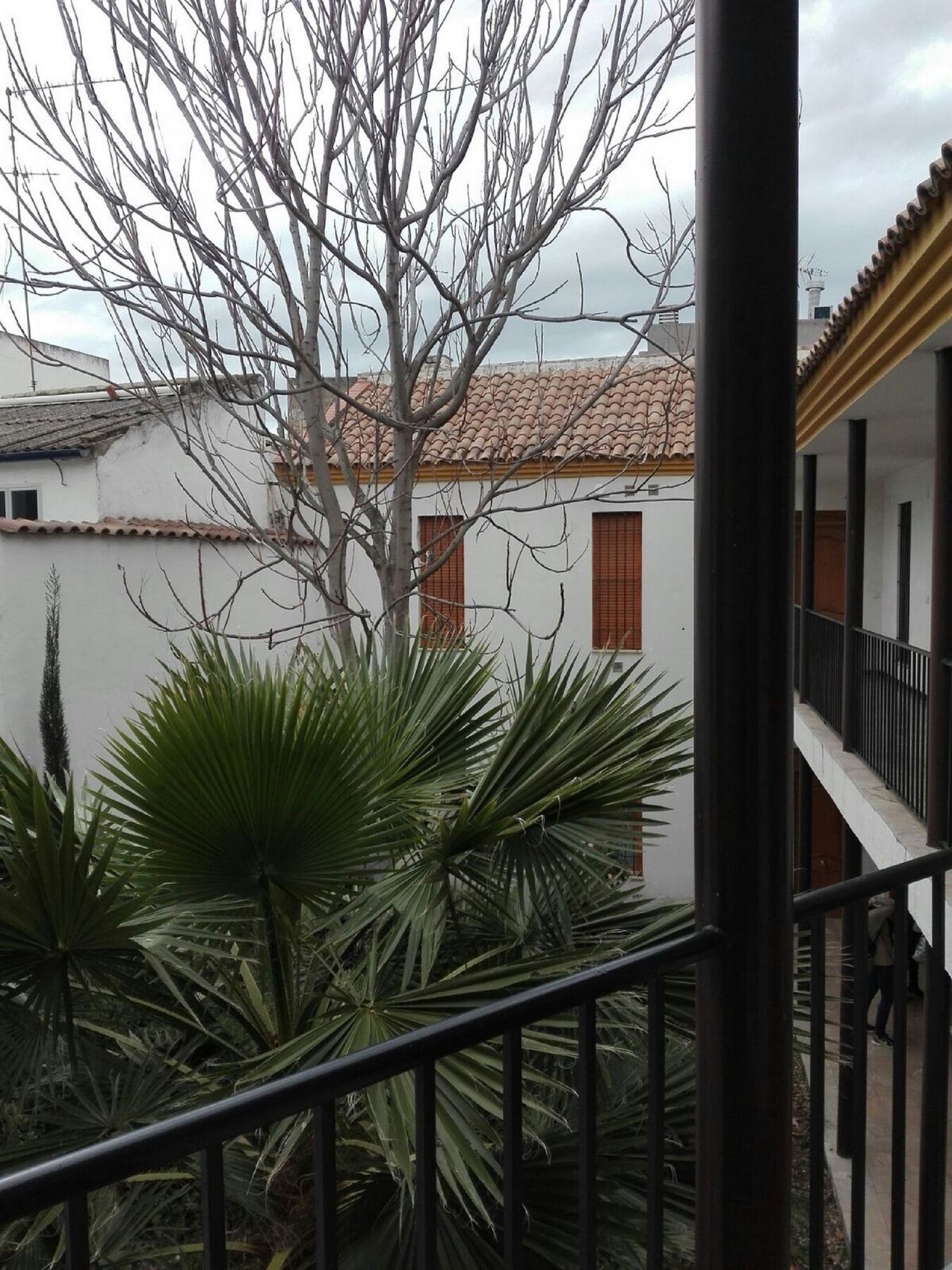 Apartamento Alfonso XII Cordoba Exterior photo